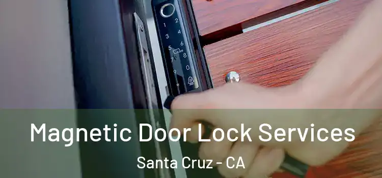 Magnetic Door Lock Services Santa Cruz - CA
